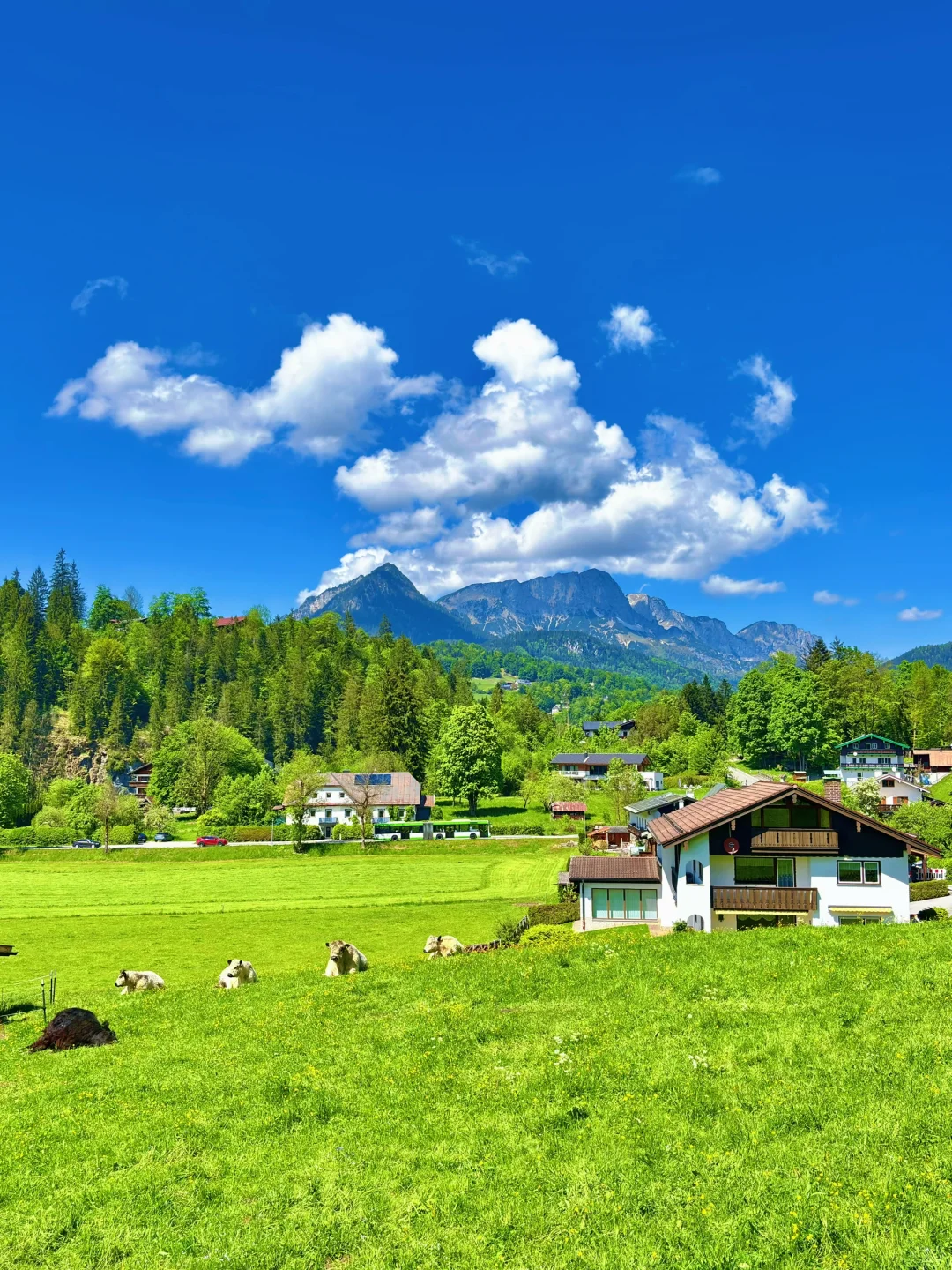 🇩🇪 误闯瑞士山水画‼️原来是国王湖⛰️