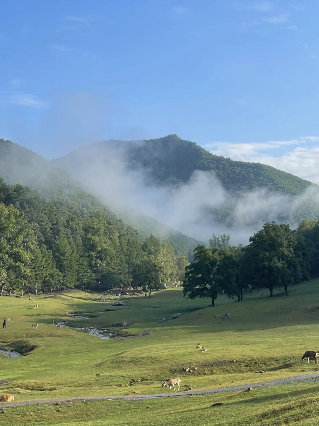长春自驾伊春！真的太美了！东北自己的阿勒泰