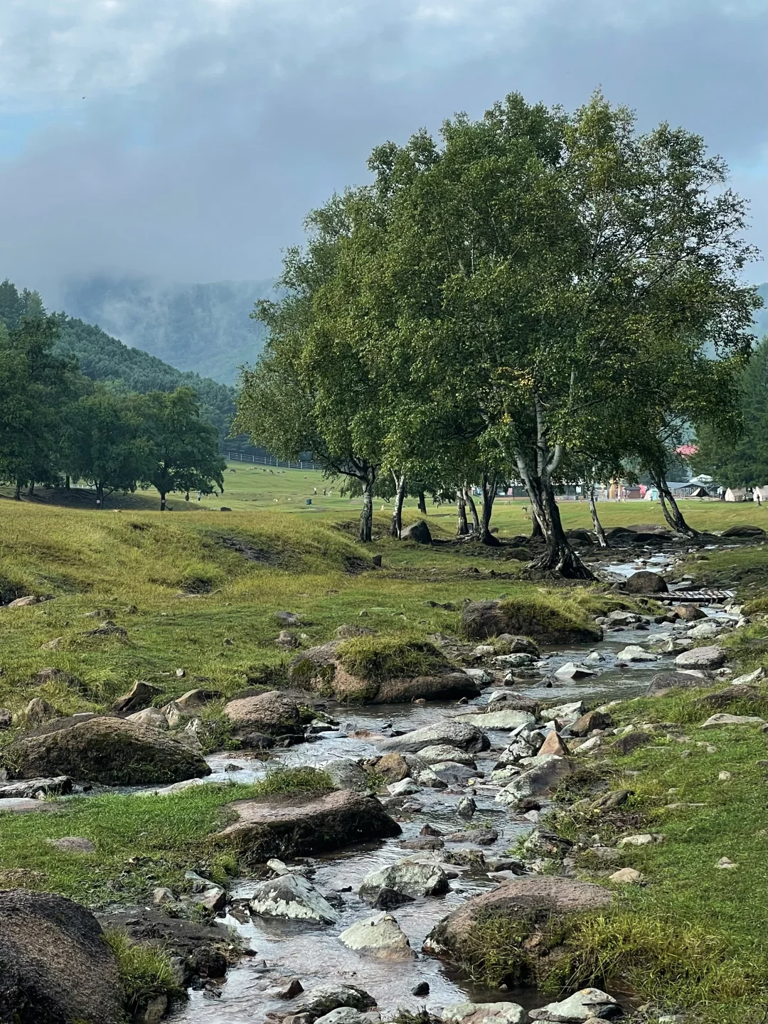 长春自驾伊春！真的太美了！东北自己的阿勒泰