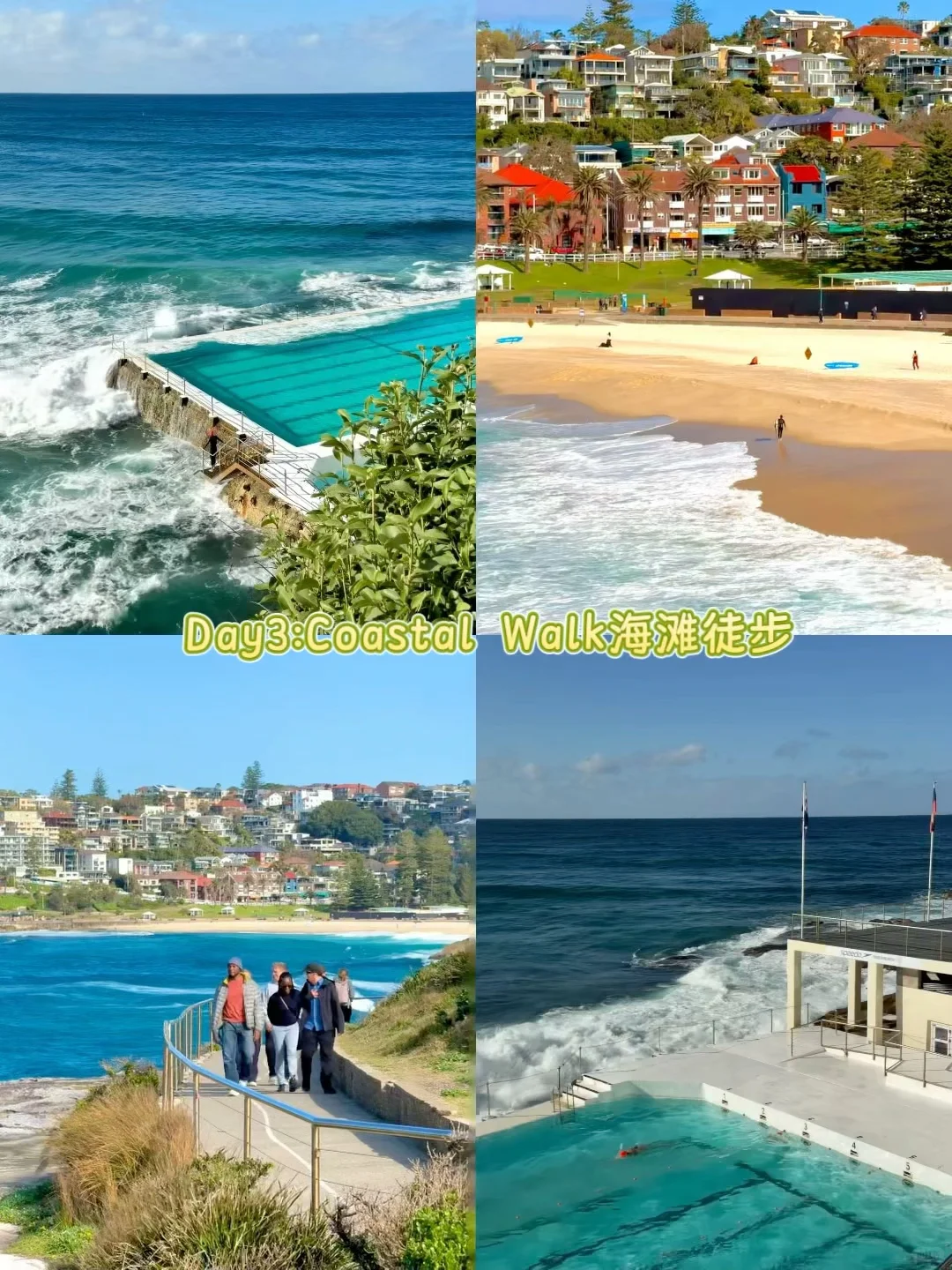 澳大利亚🇦🇺|4城15天花费1万5纯干货攻略❗️