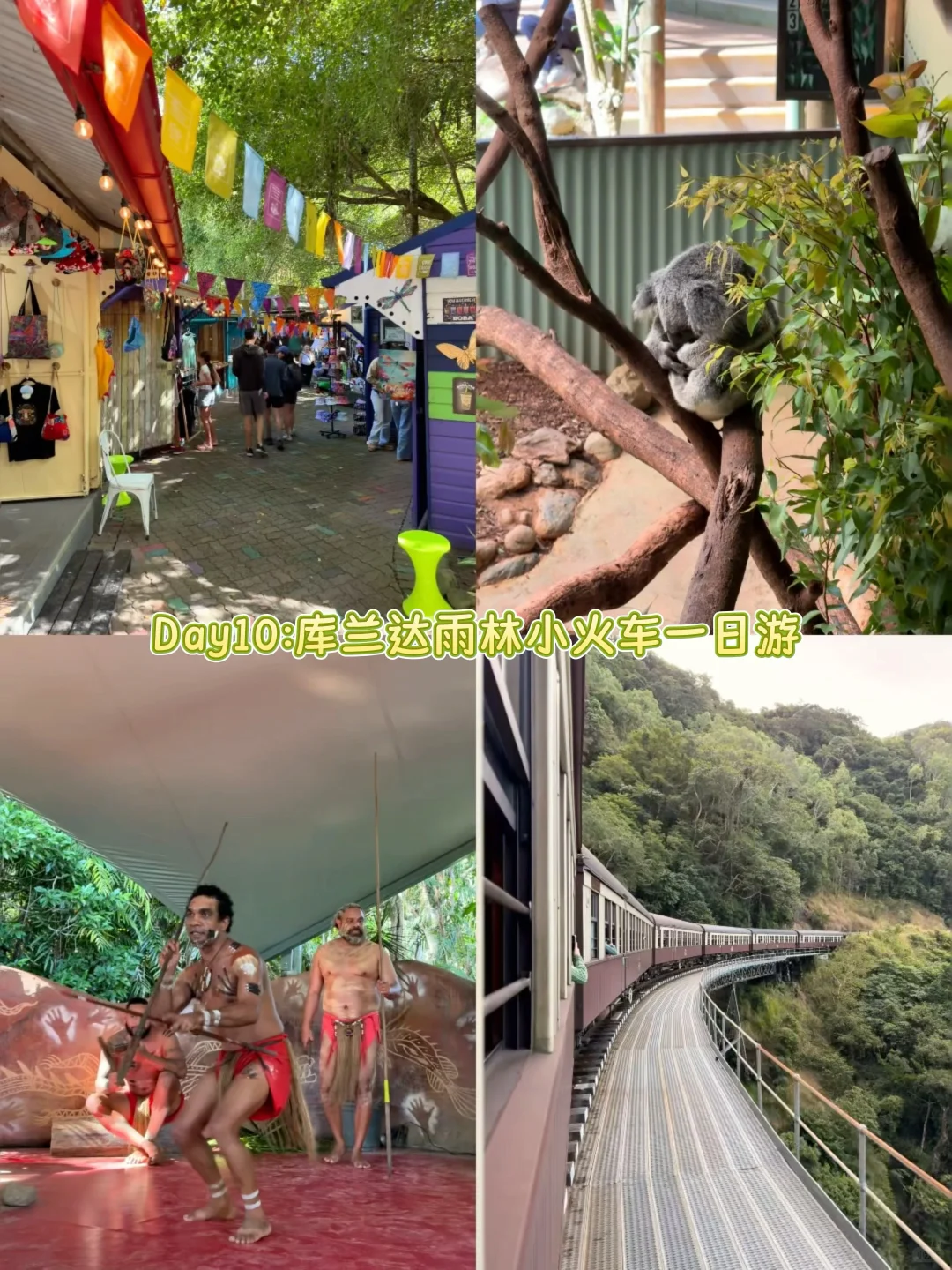 澳大利亚🇦🇺|4城15天花费1万5纯干货攻略❗️