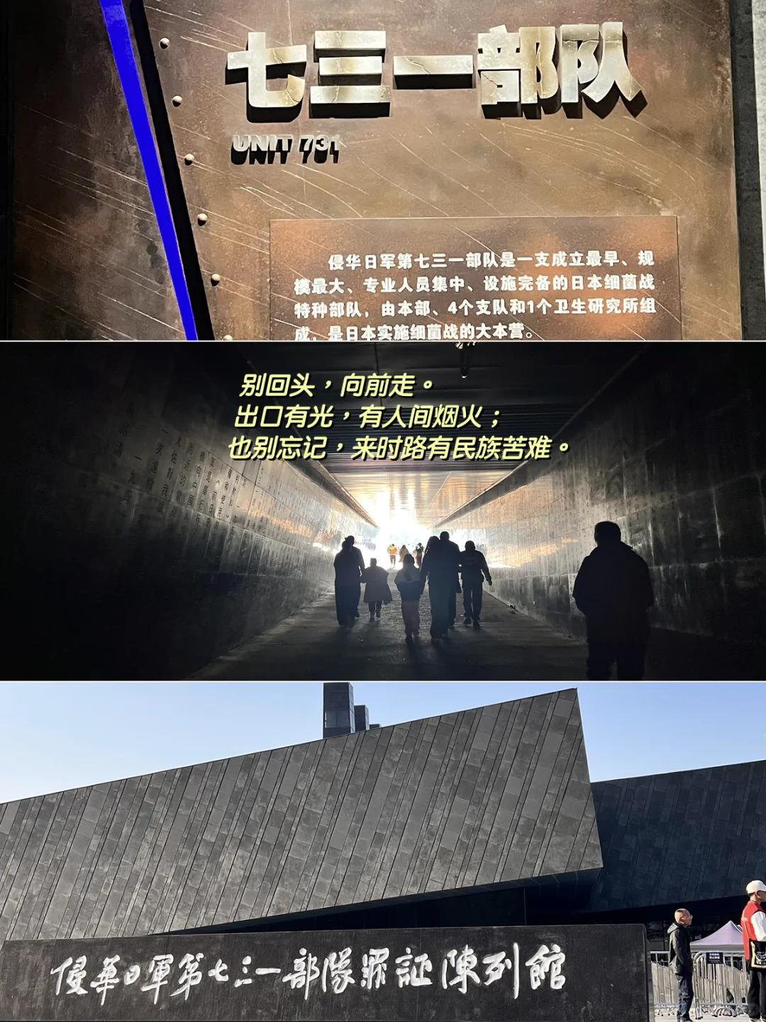 在忙碌的生活里，留一些时间和空间给生命