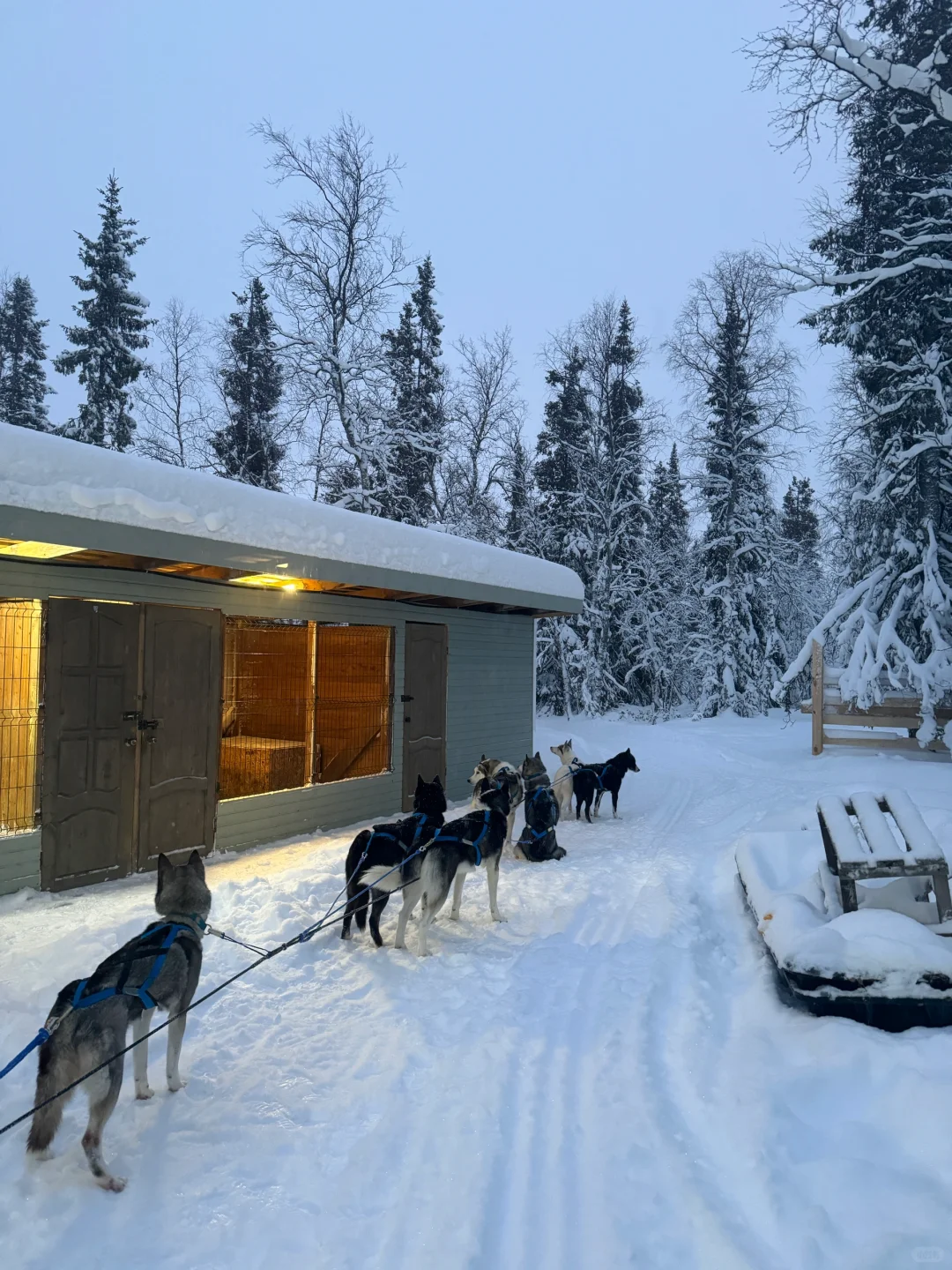 一万块不到俄罗斯双城游（全攻略版本）