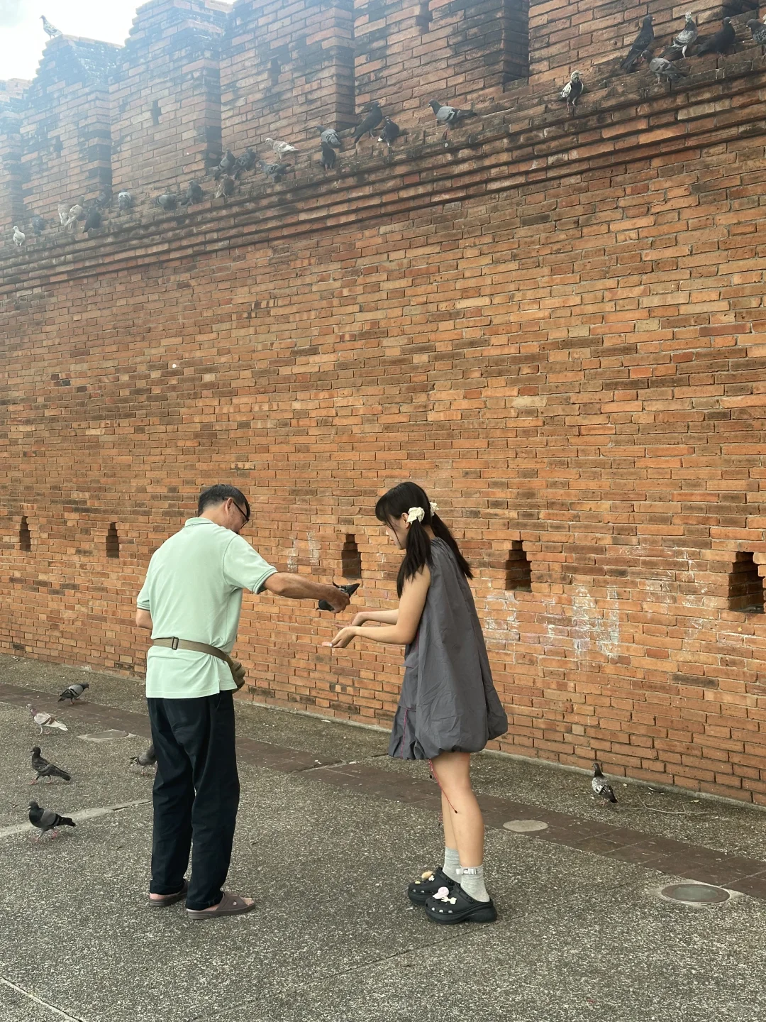 去完日本再去泰国的感受