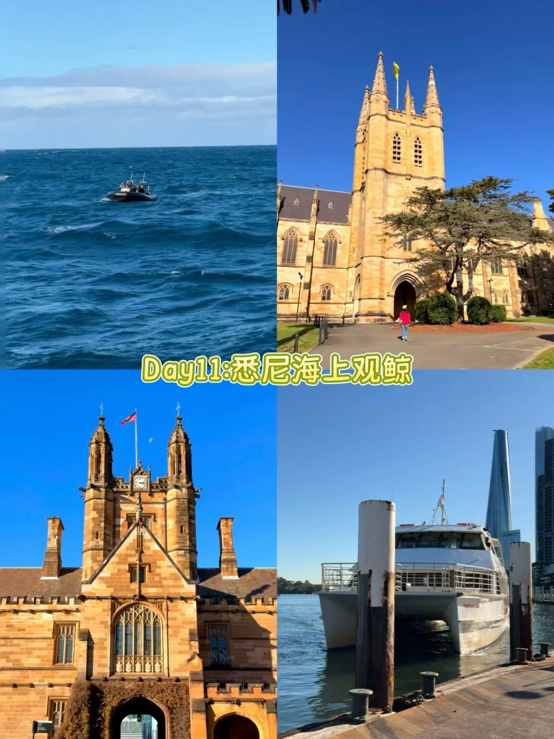 澳大利亚🇦🇺|4城15天花费1万5纯干货攻略❗️