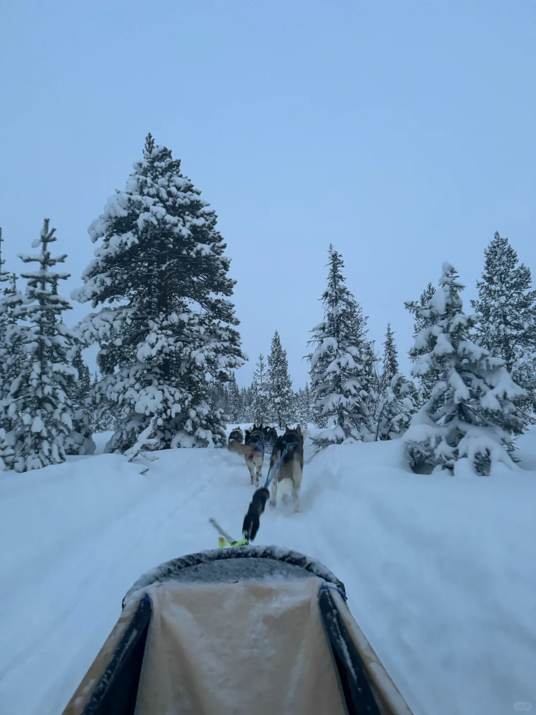 一万块不到俄罗斯双城游（全攻略版本）