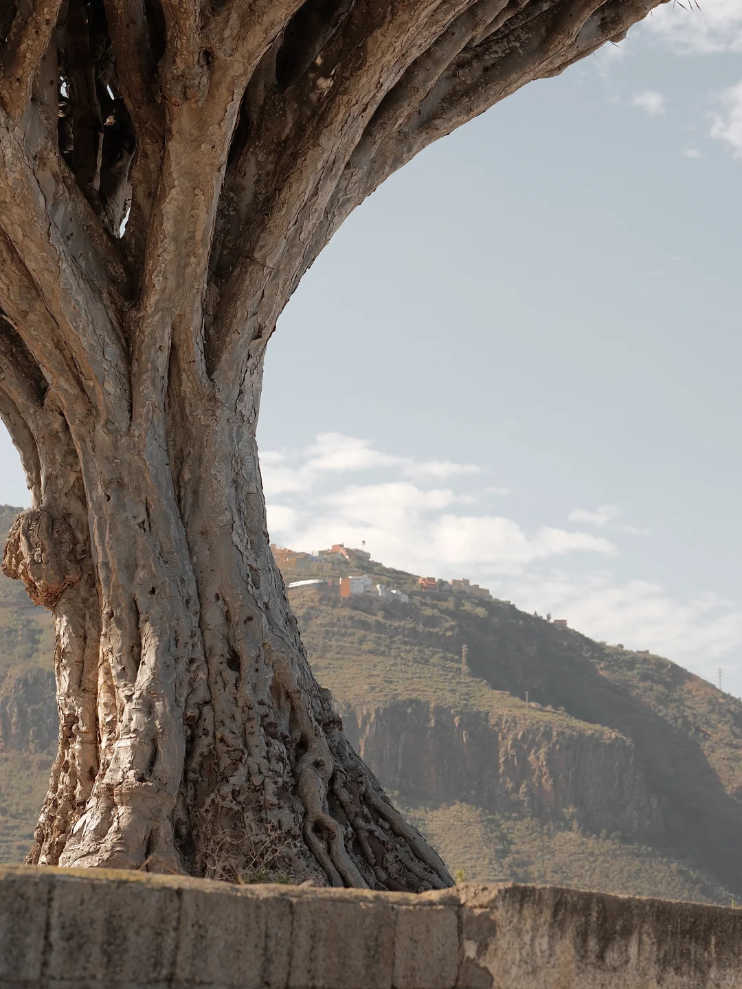 留学四年 去了九个国家 心中排名