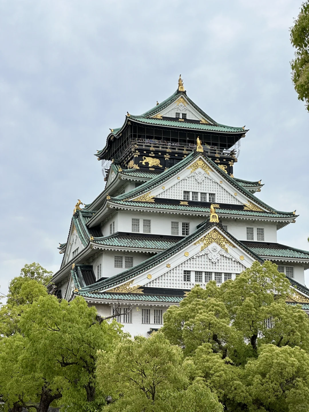 日本🇯🇵五日游全程无预约｜附精华攻略🌟