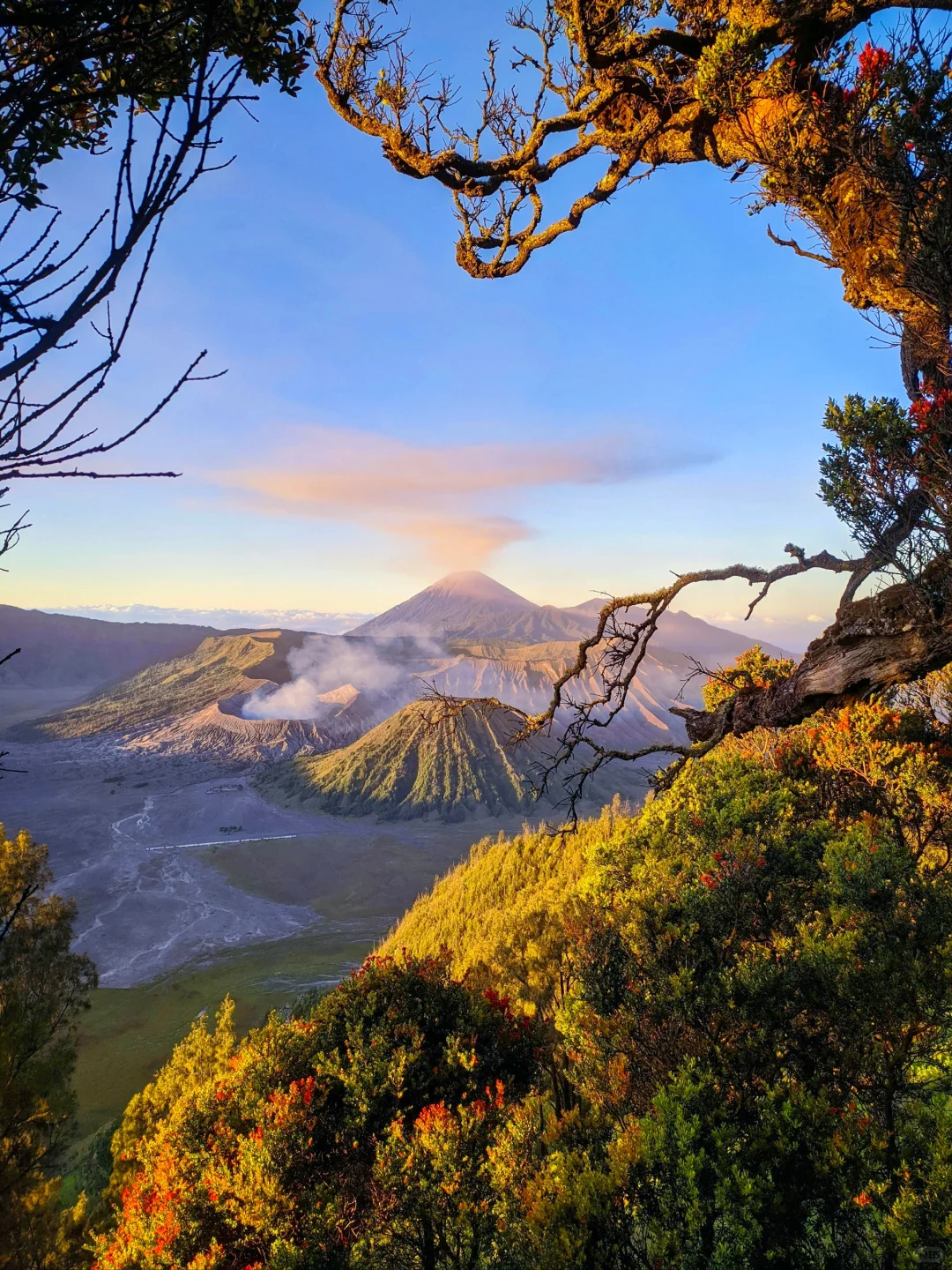 免签｜第一次出国旅游首选——印度尼西亚