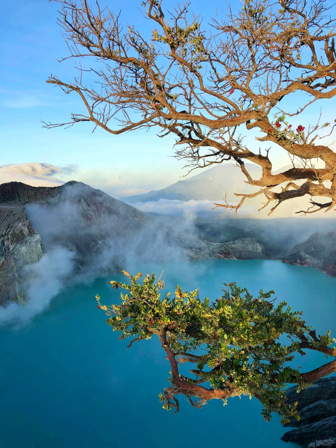 免签｜第一次出国旅游首选——印度尼西亚