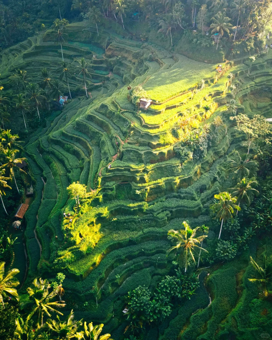 免签｜第一次出国旅游首选——印度尼西亚