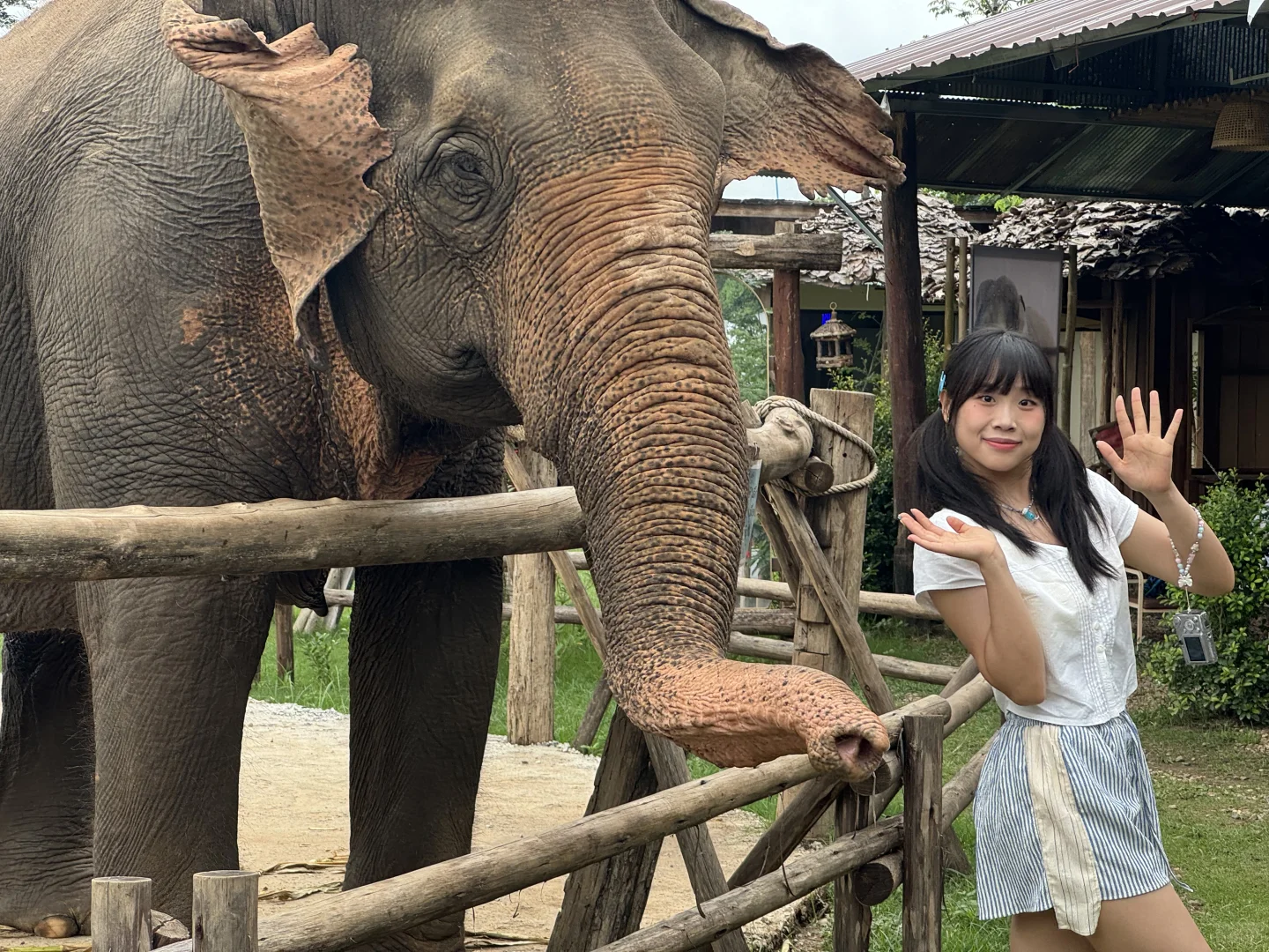去完日本再去泰国的感受