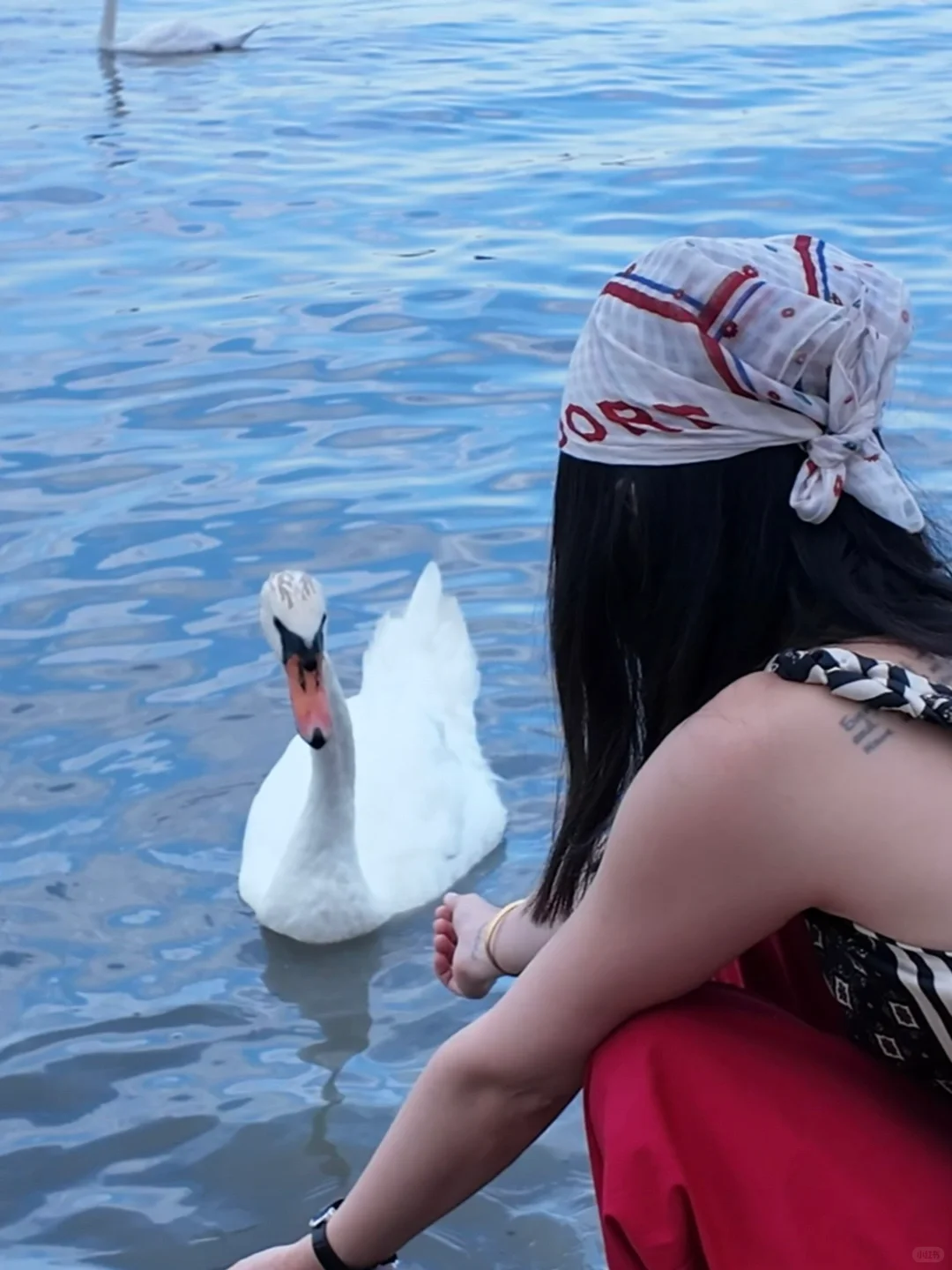 📍塞尔维亚 免签说走就走