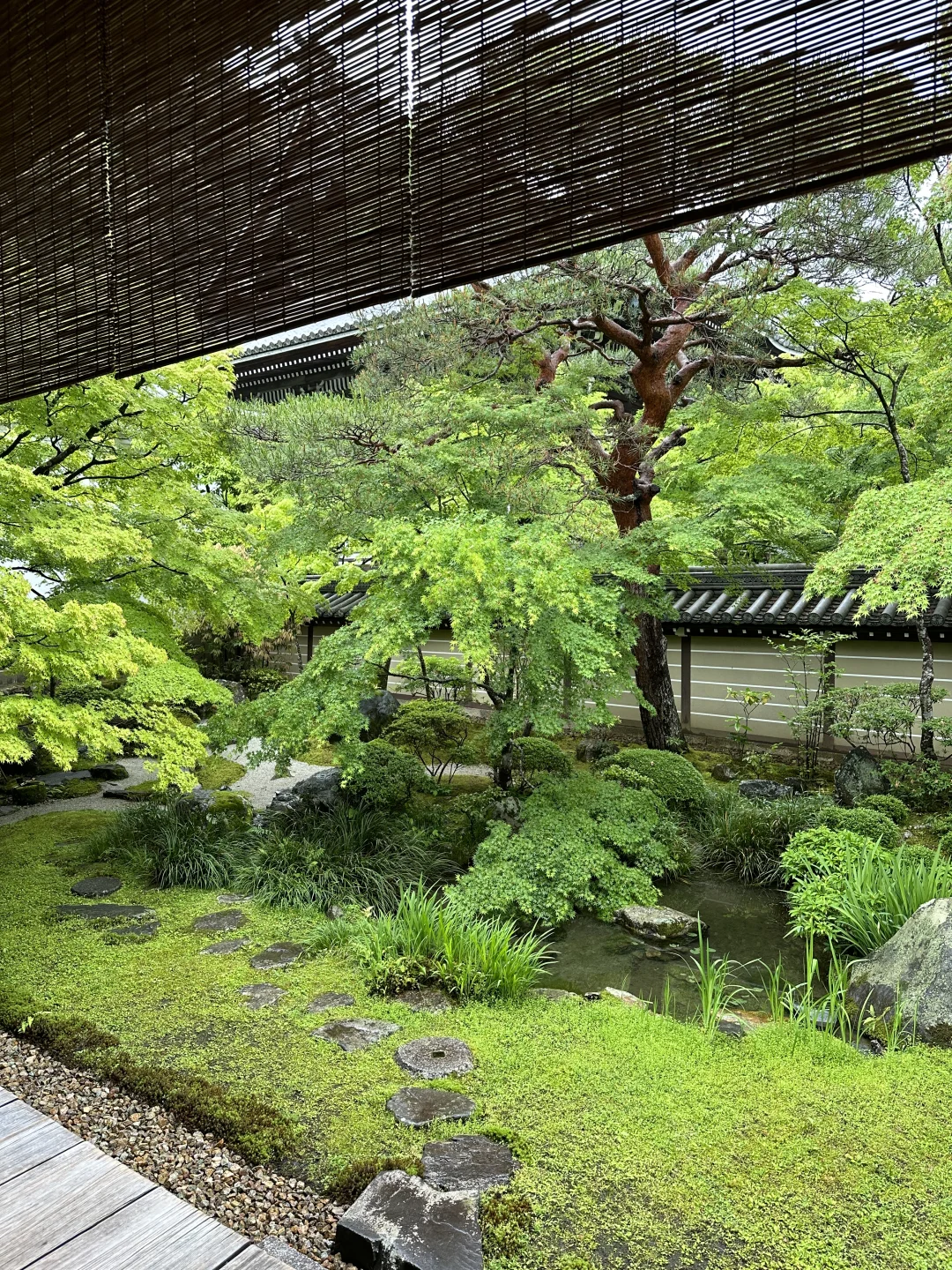日本🇯🇵五日游全程无预约｜附精华攻略🌟