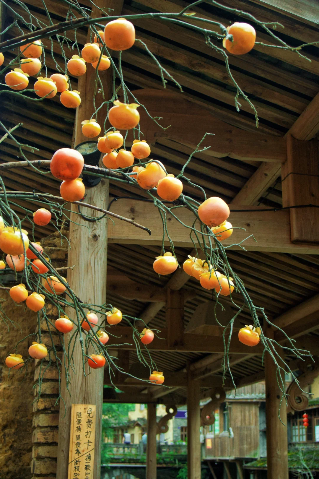 福州周边游|宁德古村落下雨也推荐去的地方！