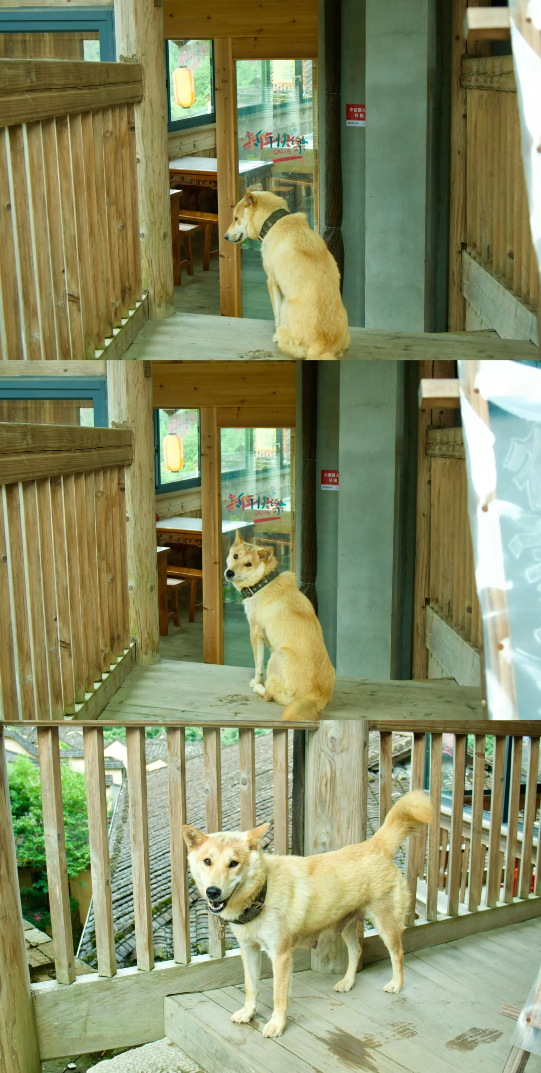 福州周边游|宁德古村落下雨也推荐去的地方！