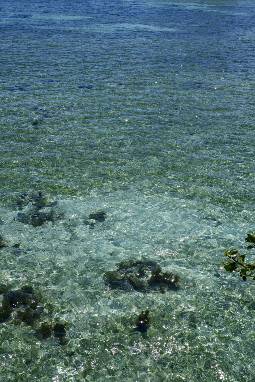 海岛戒断困难｜有没有像仙本那一样的海