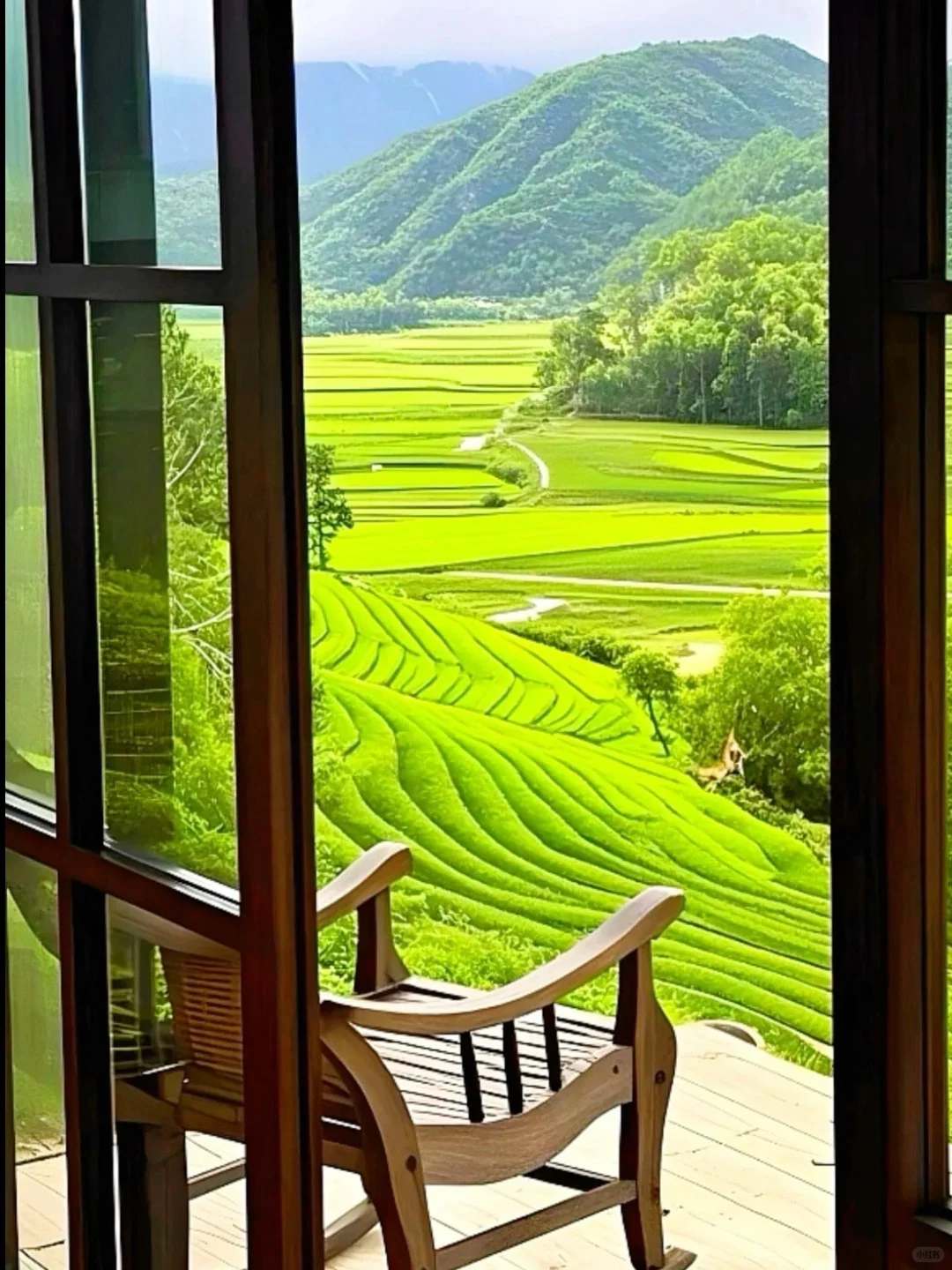 莫干山！！童话木屋➕私汤温泉♨️！内部776/3天