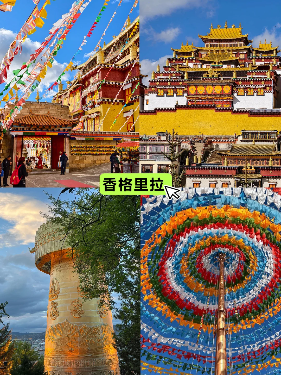 🔥带爸妈去云南5天4晚1k+全包😭太香了