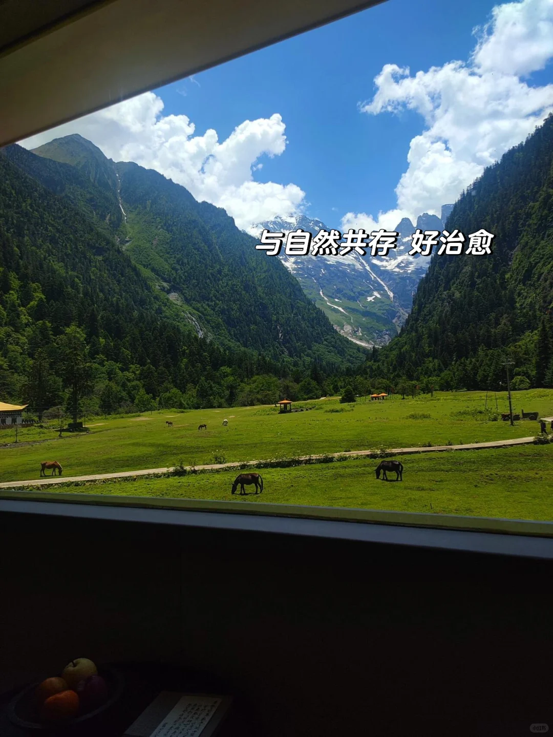 和闺蜜跟团去了香格里拉,这人生酒店太震撼