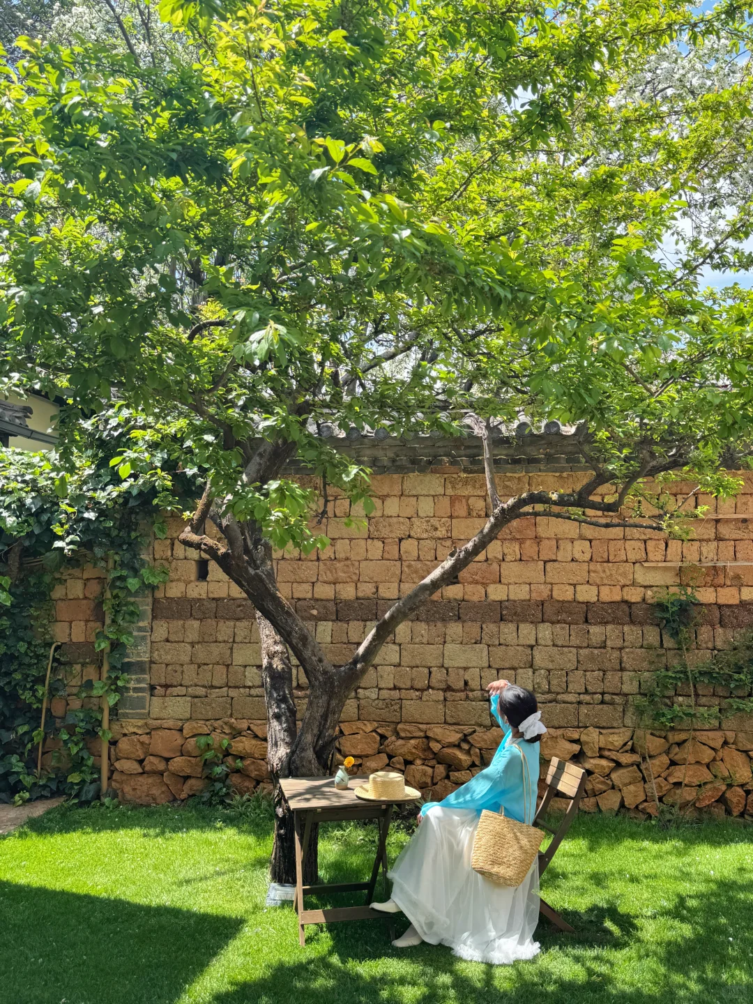 为了这18张照片！我专门飞了一趟淡季丽江！