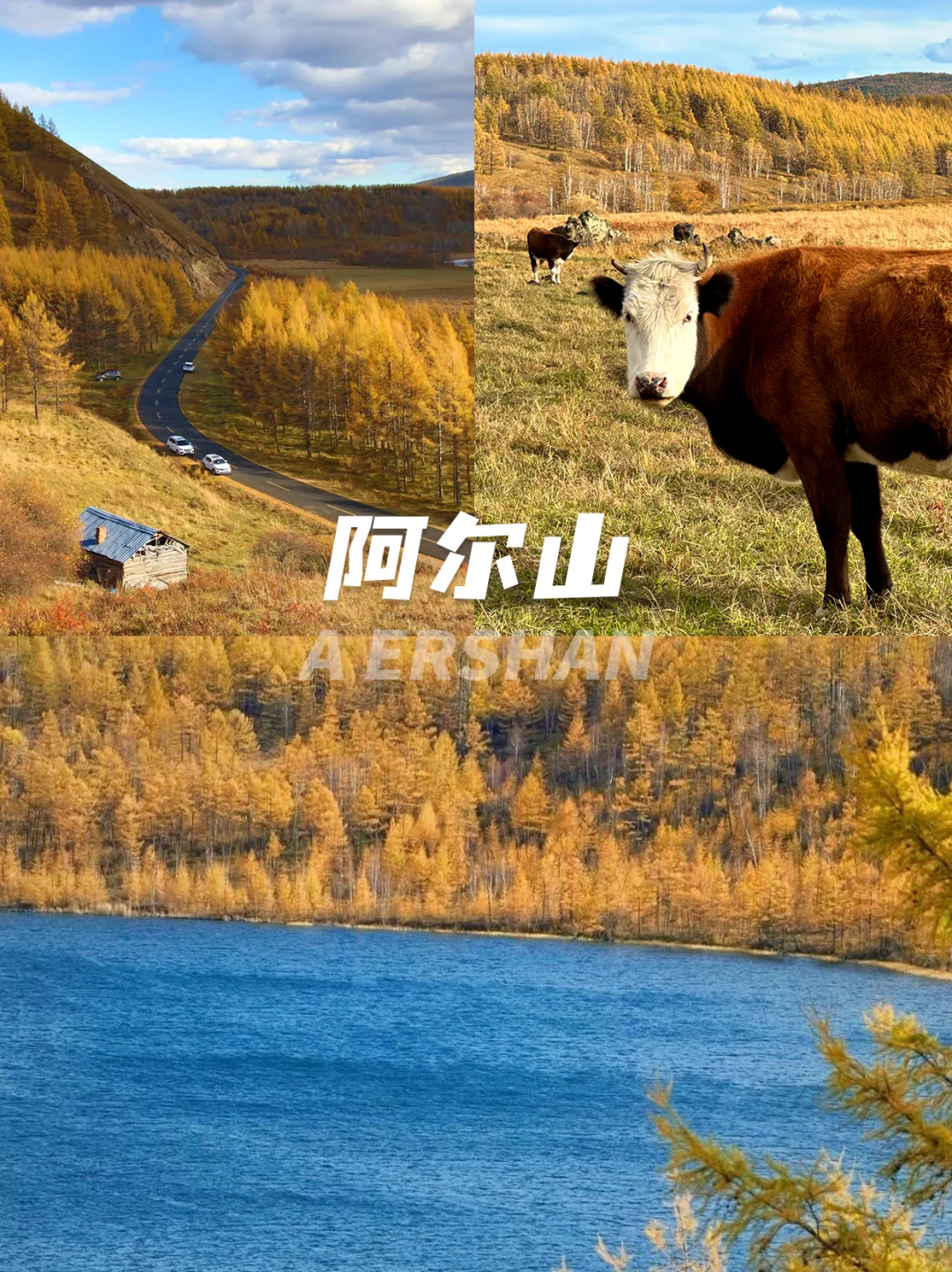 9月山河已秋，5天年假寻秋旅行目的地📍