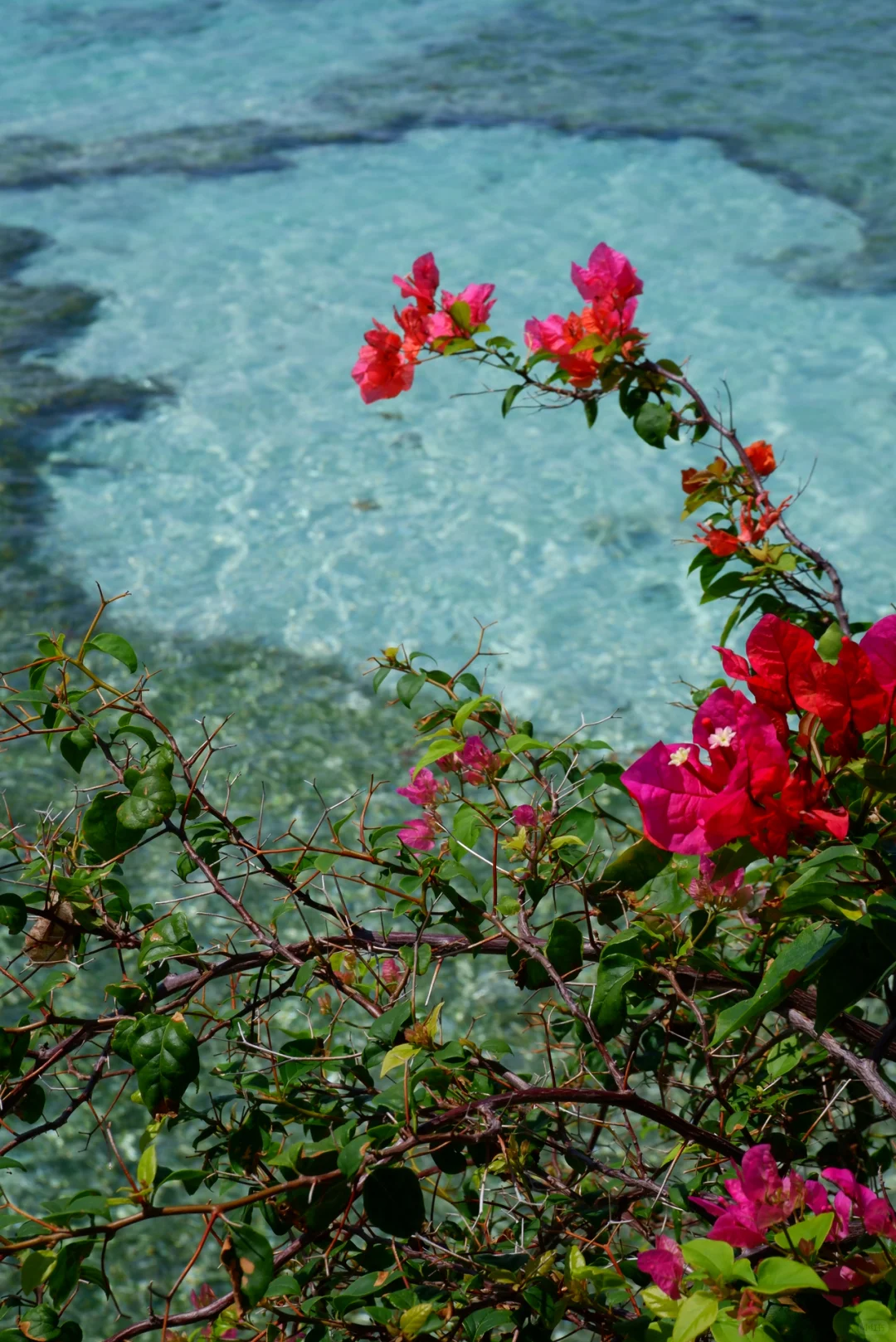 海岛戒断困难｜有没有像仙本那一样的海