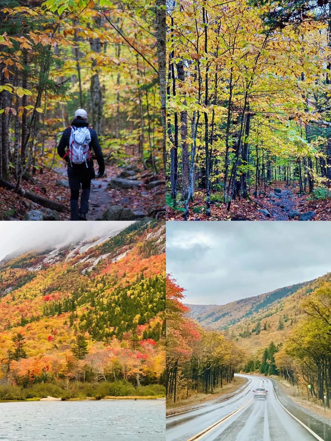不要错过🍁美东赏枫赏秋必去绝美景点大总结