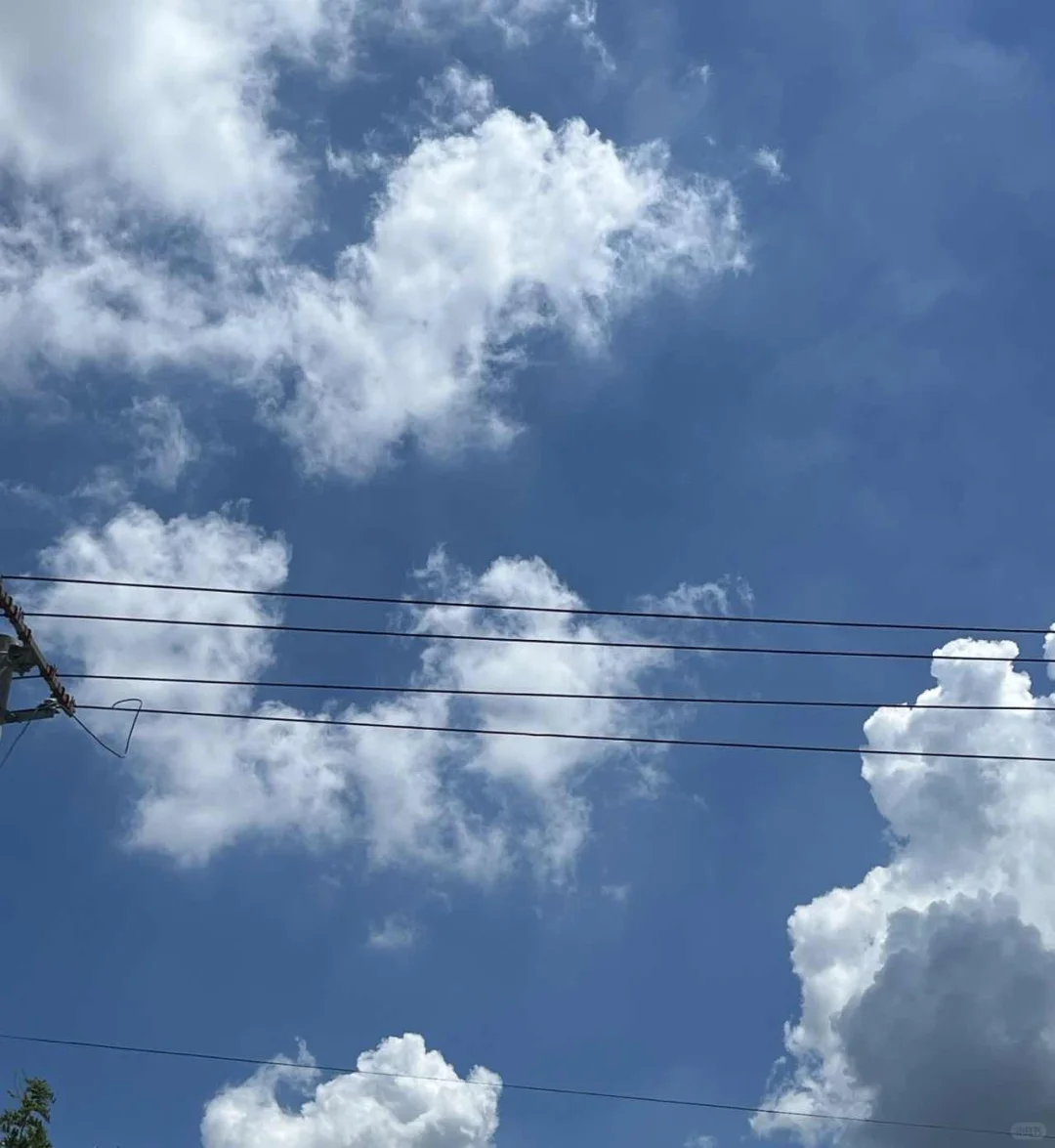 有哪些消费不高还免签的国家