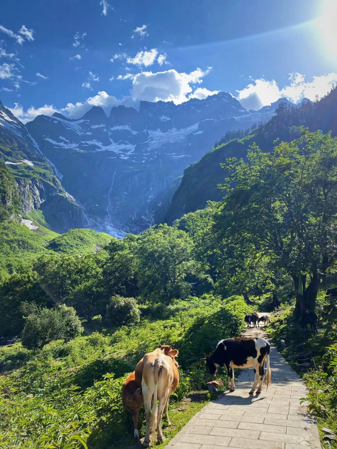 和闺蜜跟团去了香格里拉,这人生酒店太震撼