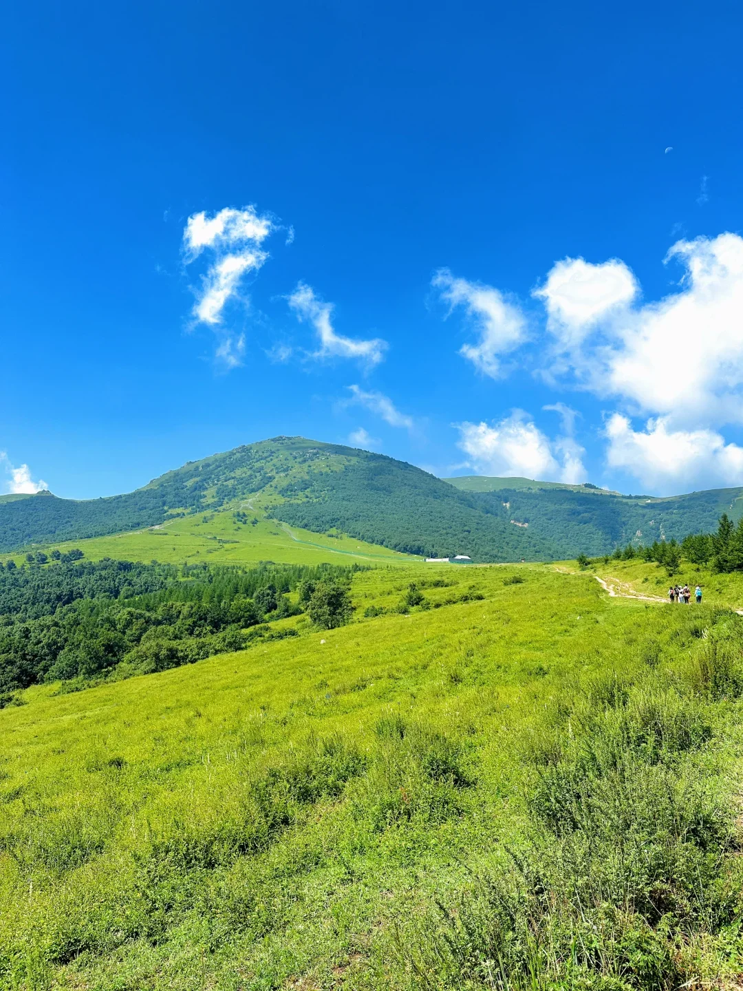 东灵山|挑战北京最高峰-腾云驾雾赏旷世之美