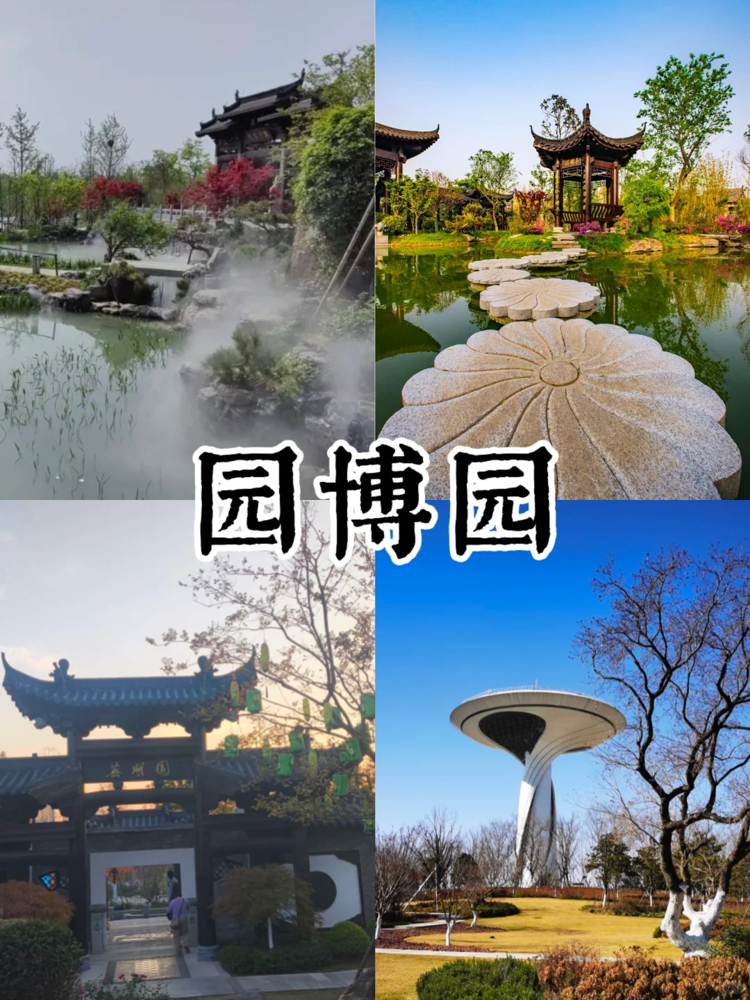 合肥必打卡5大景点❗️❗️旅游前必看❗️