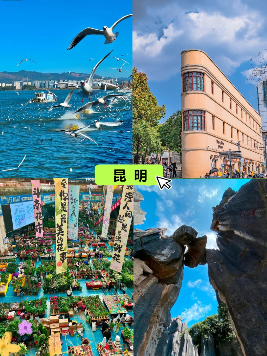 🔥带爸妈去云南5天4晚1k+全包😭太香了