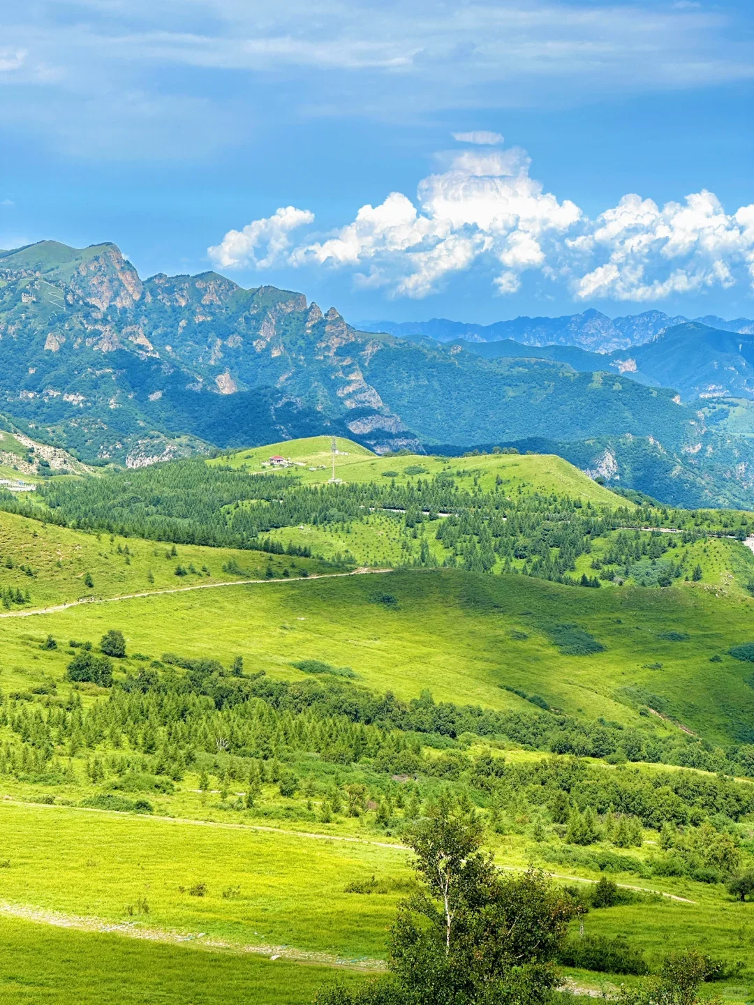 东灵山|挑战北京最高峰-腾云驾雾赏旷世之美