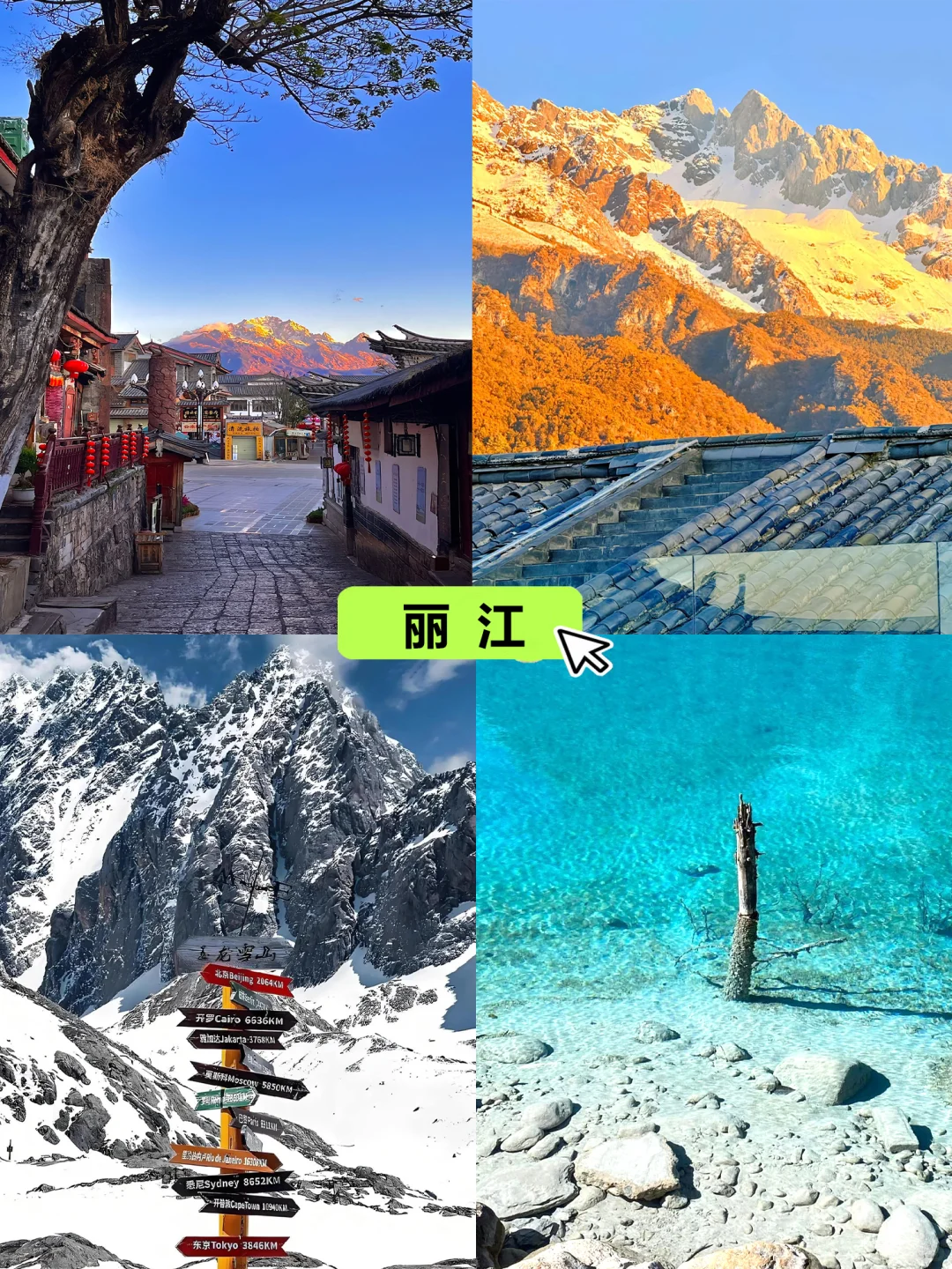 🔥带爸妈去云南5天4晚1k+全包😭太香了