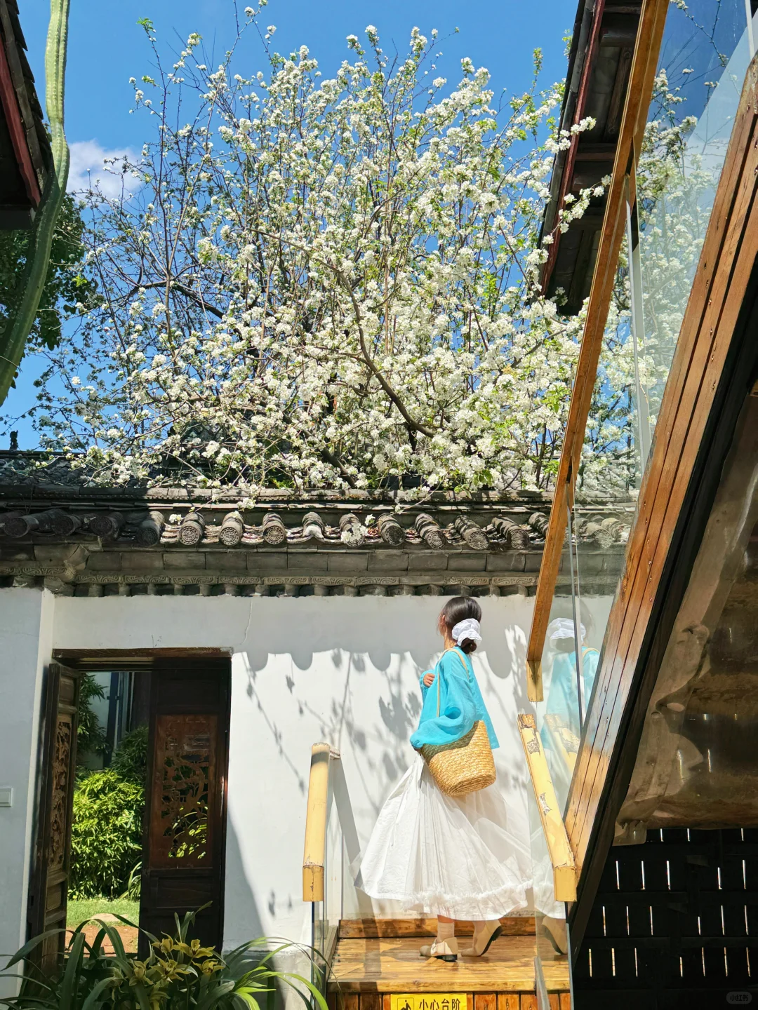 为了这18张照片！我专门飞了一趟淡季丽江！