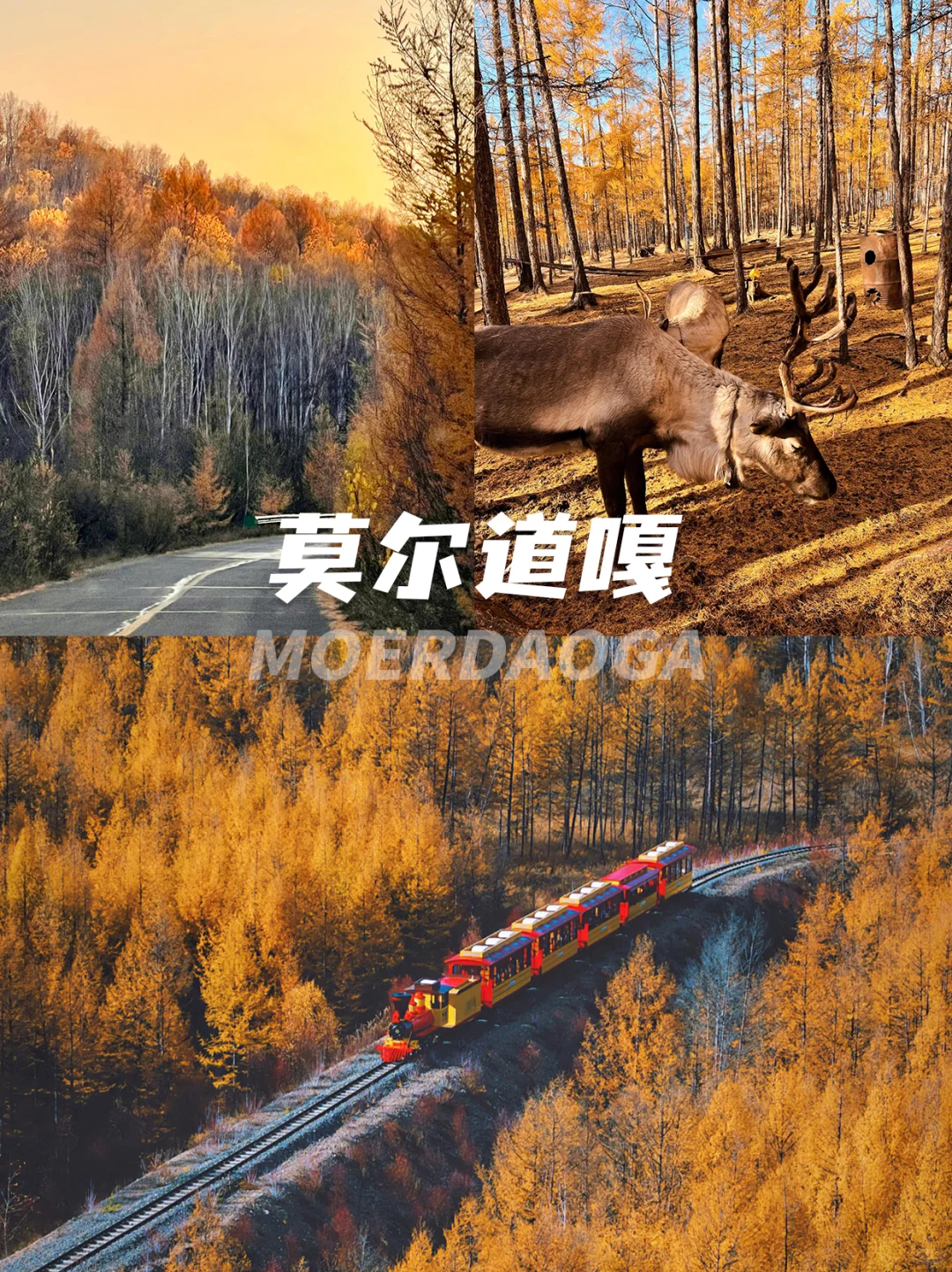 9月山河已秋，5天年假寻秋旅行目的地📍