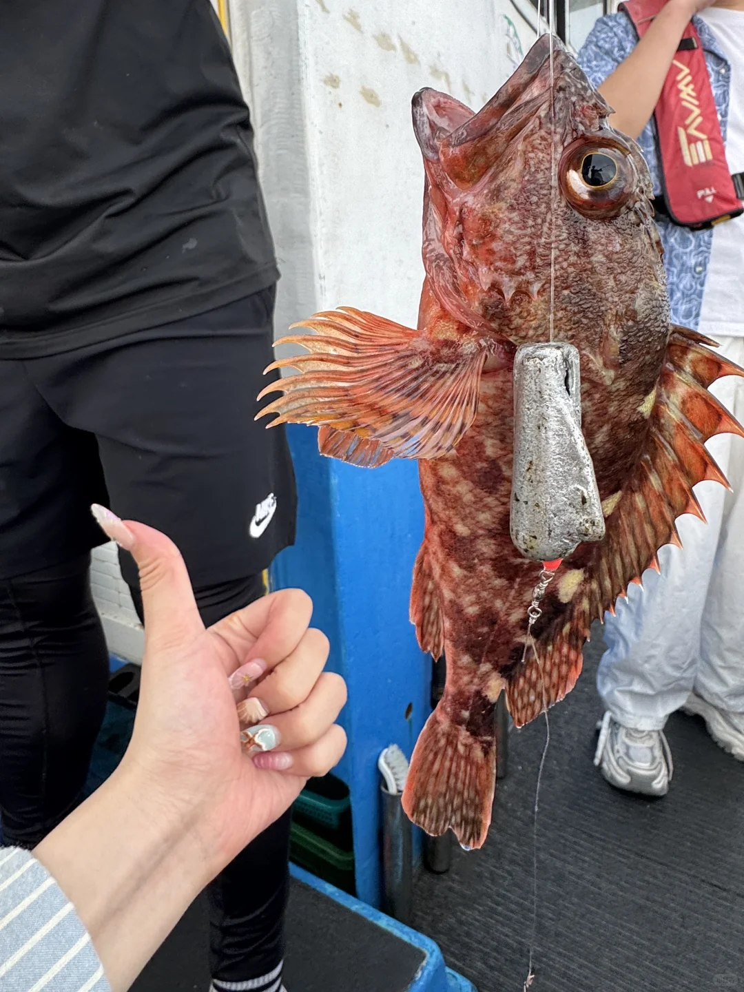 🍊济州岛两天特种兵旅游攻略