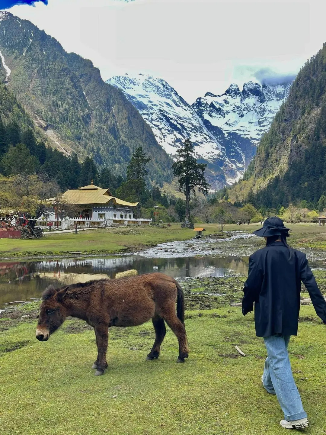 和闺蜜跟团去了香格里拉,这人生酒店太震撼