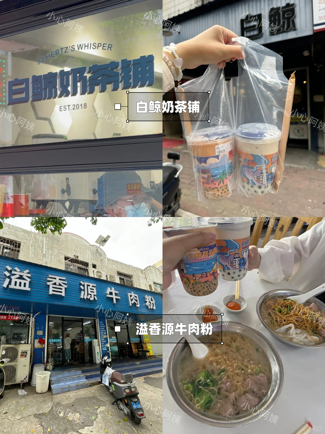 北海旅行｜离开两个月仍在戒断？！