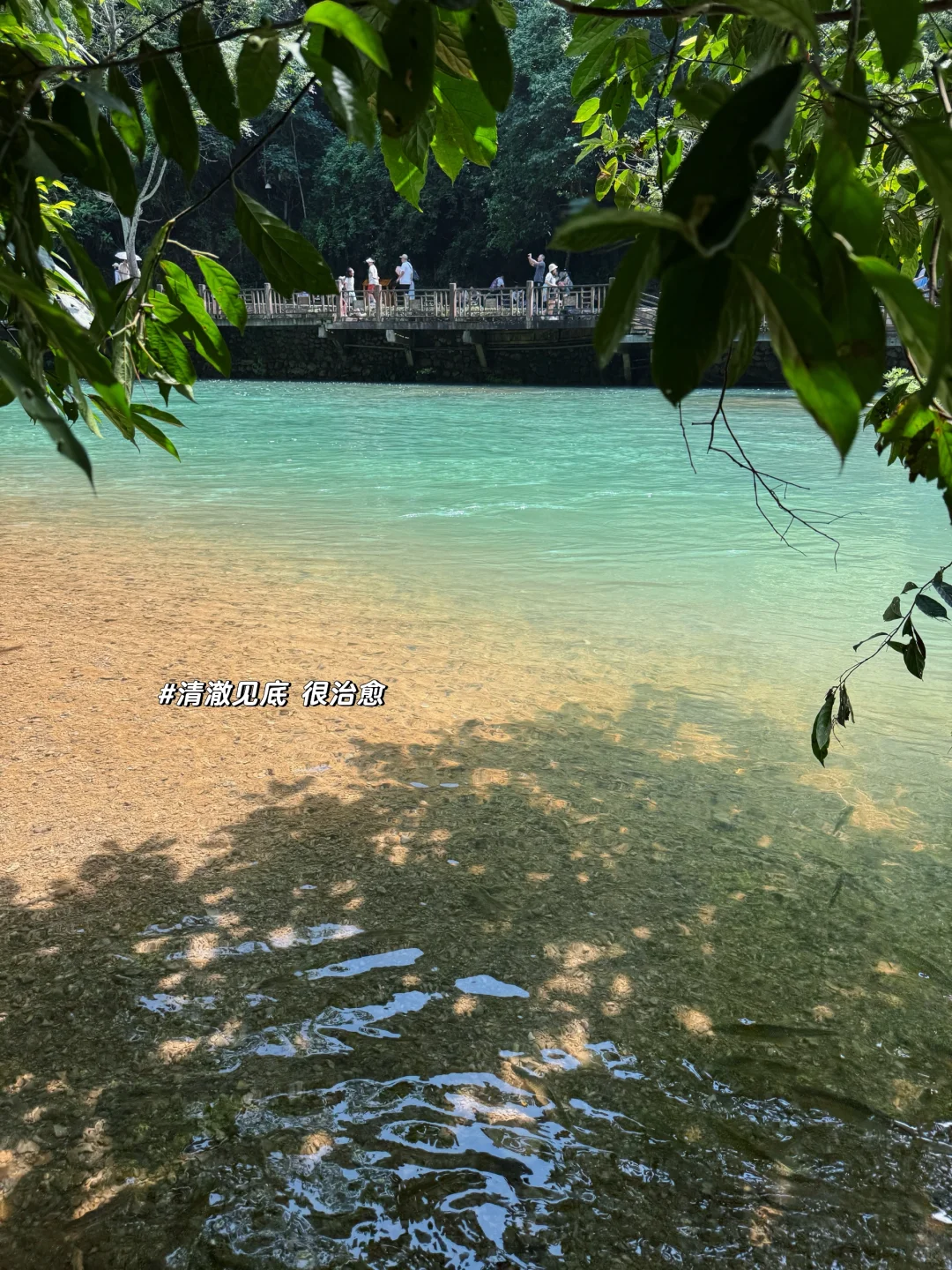 贵州5️⃣天4️⃣晚旅行攻略（超详细！！）