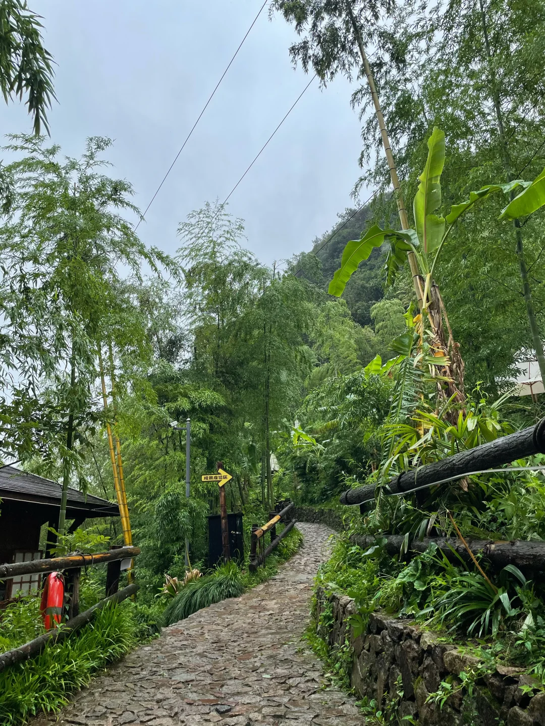 莫干山2天1夜｜0爬山+小众免费景点