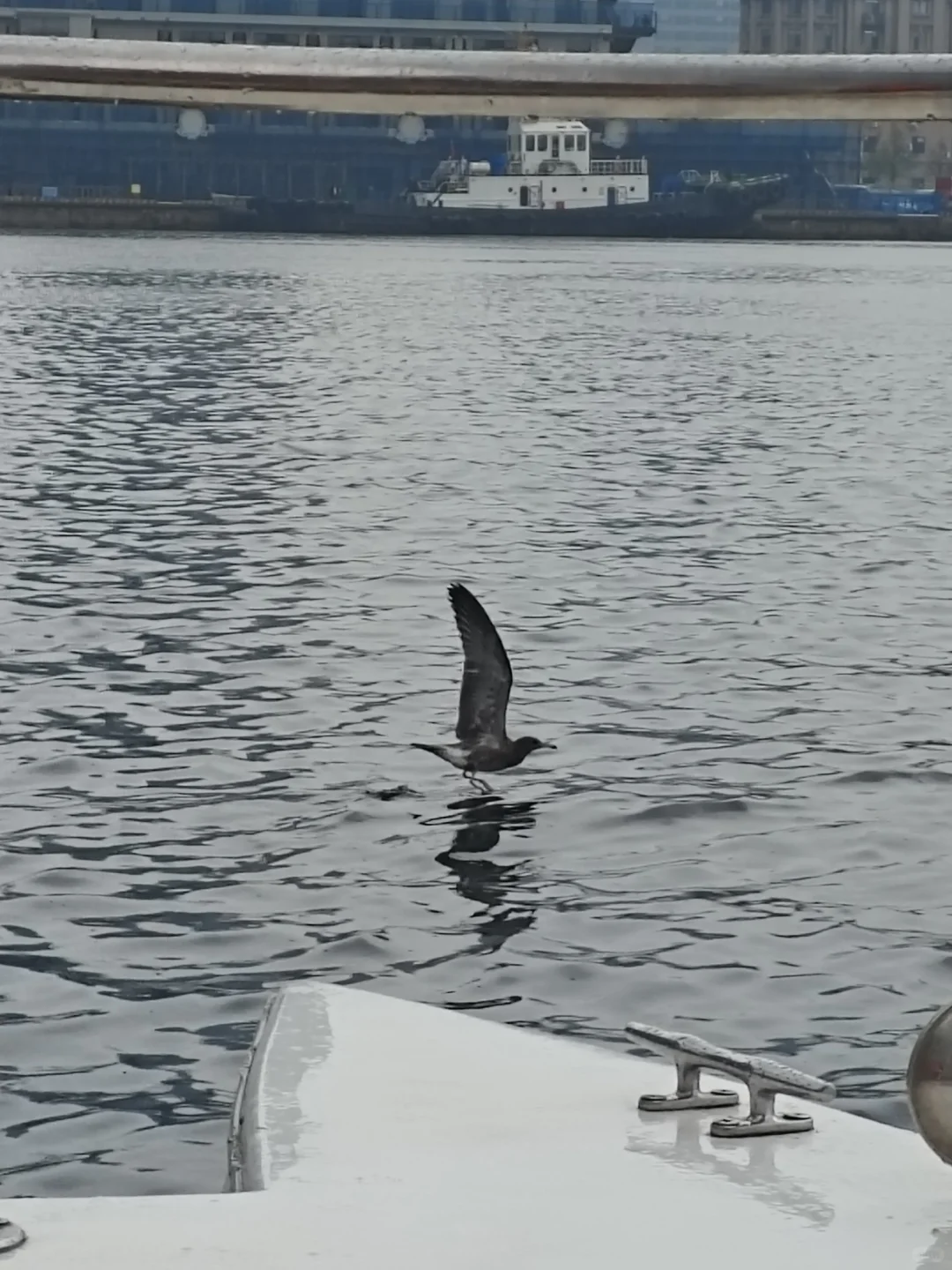 穷鬼两千预算试图领略东北4城的大好河山
