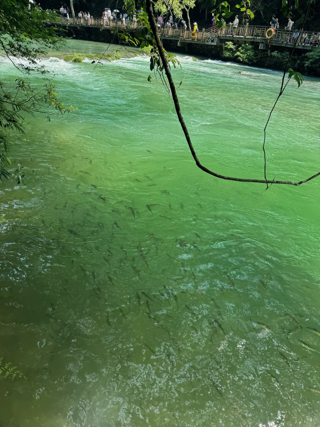 贵州5️⃣天4️⃣晚旅行攻略（超详细！！）