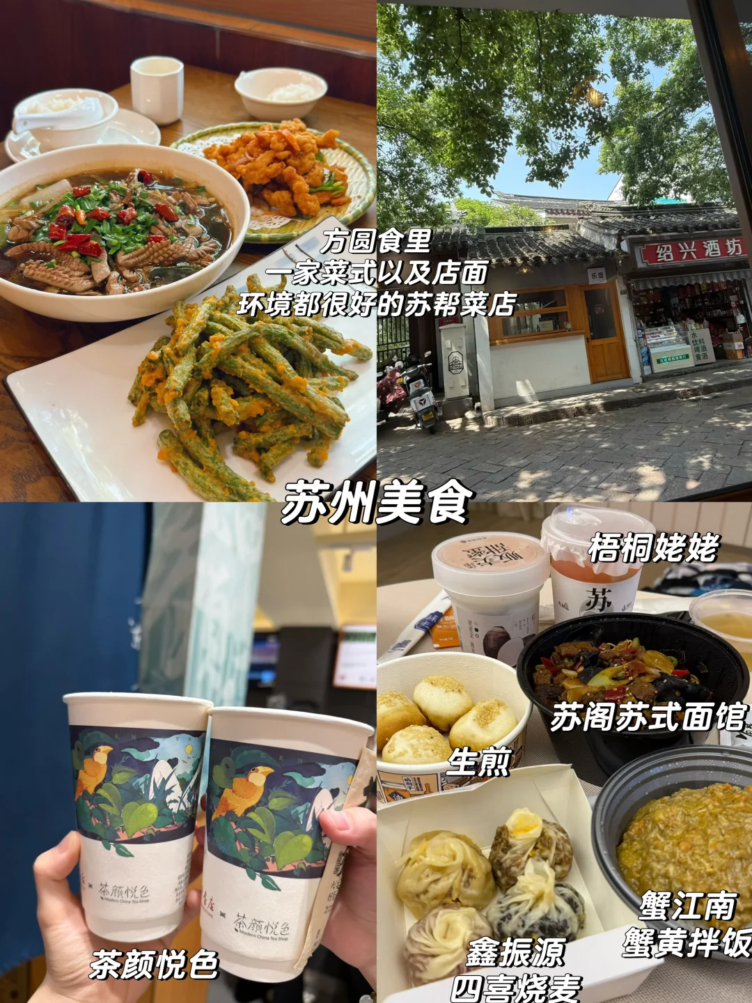 南京苏州也太好玩啦｜附四天三晚保姆级攻略