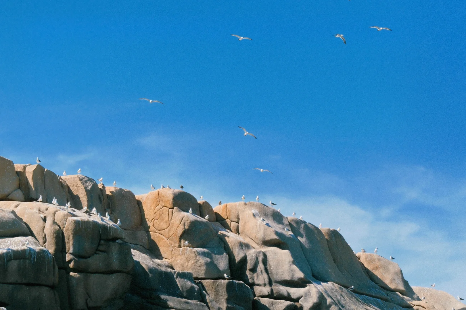 人间塞尔达｜四礵列岛一日游攻略