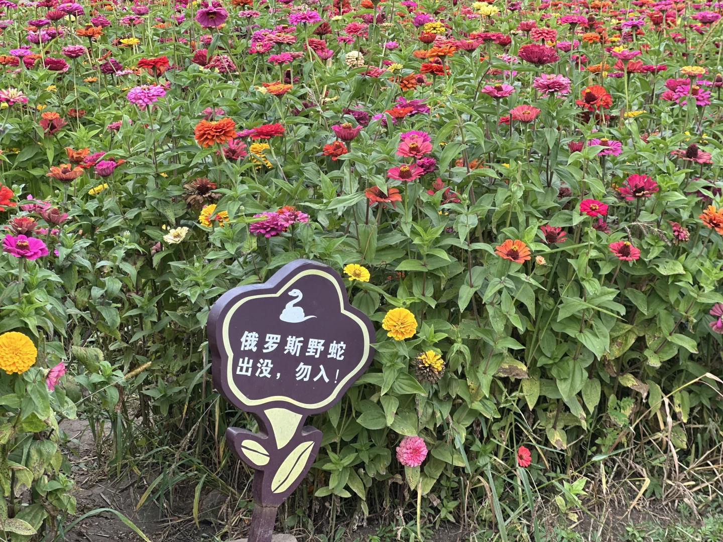 【绥芬河国门景区】