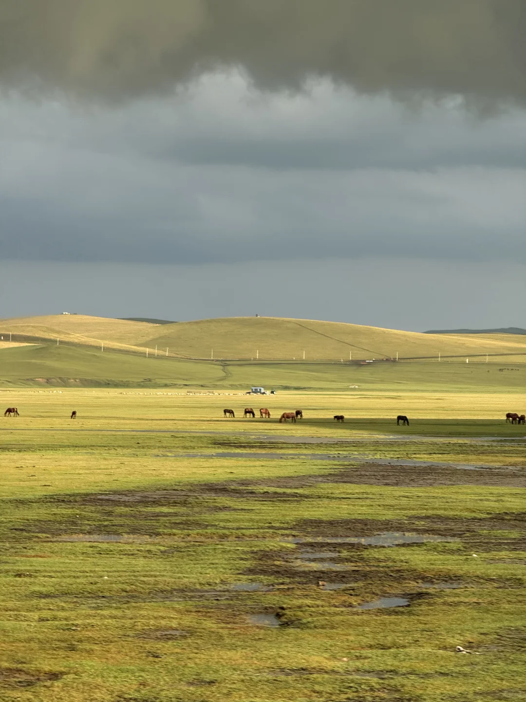 呼伦贝尔第一站，莫尔格勒河攻略，18张live图