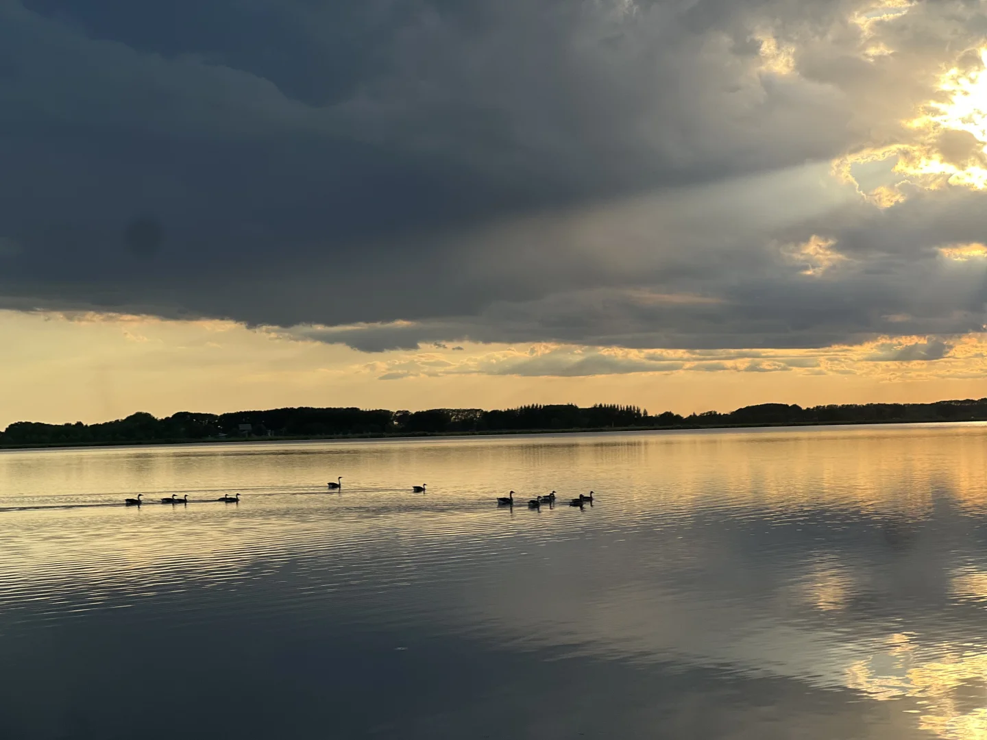 住扎龙景区，是齐齐哈尔之行最正确的决定