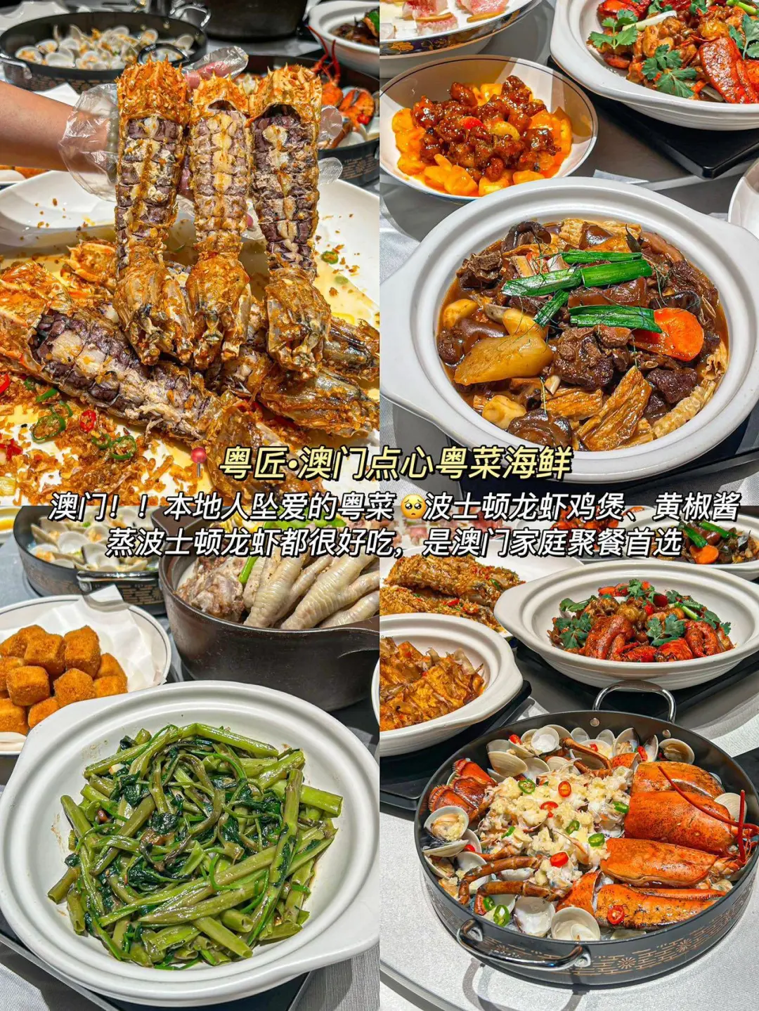 为什么我去澳门旅游之前没刷到这一篇